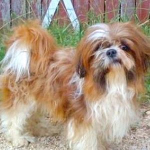 Meet your Posher, Pat